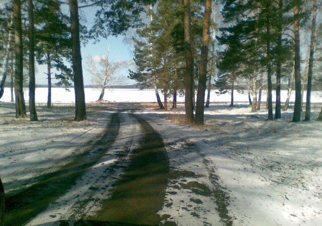 ул Береговая Снежинск фото