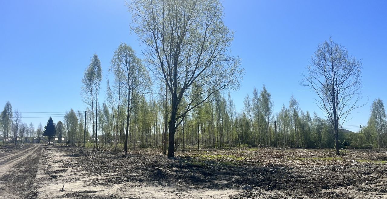 земля р-н Кировский г Шлиссельбург Шлиссельбургское городское поселение фото 10