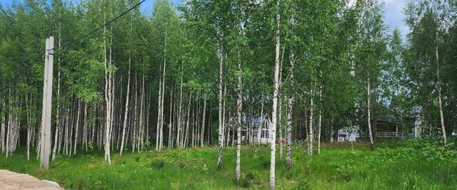 ДНП, Переславль-Залесский городской округ фото