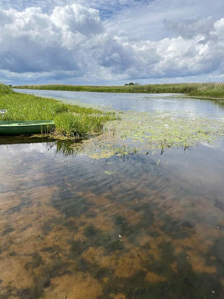 дом р-н Псковский д Ваймицы ул Дружная фото 18