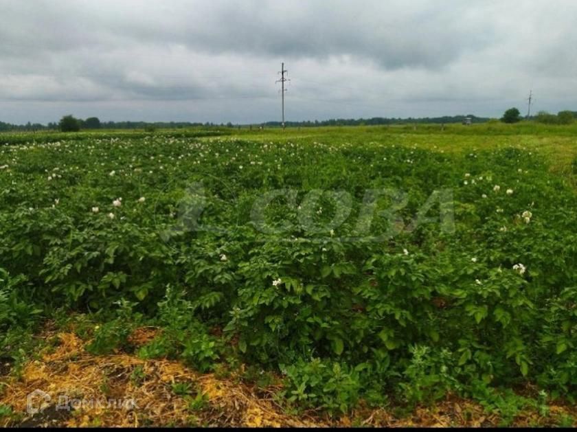 земля р-н Нижнетавдинский деревня Крысова фото 5