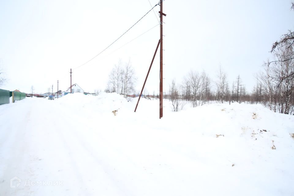 земля г Новый Уренгой снт ДНТ Фемида ул 1-я Центральная городской округ Новый Уренгой фото 5