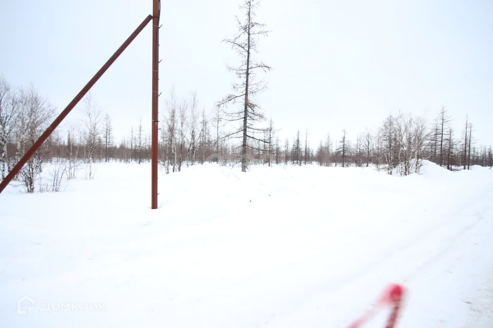 земля г Новый Уренгой снт ДНТ Фемида ул 1-я Центральная городской округ Новый Уренгой фото 6