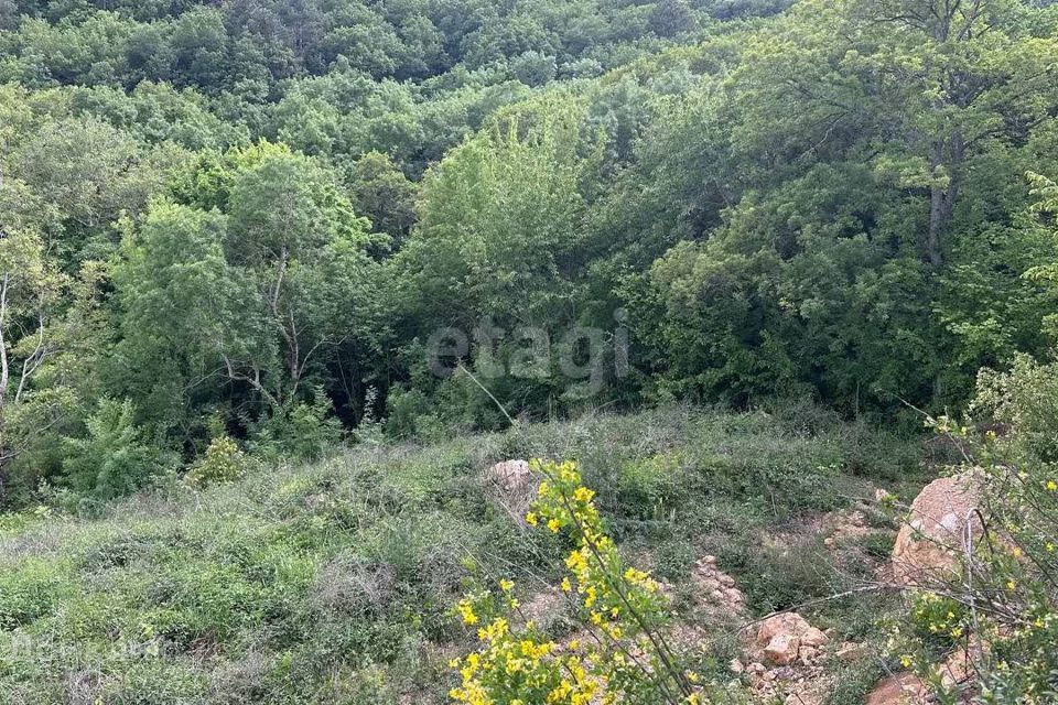 земля г Алушта с Запрудное ул Спортивная городской округ Алушта фото 5