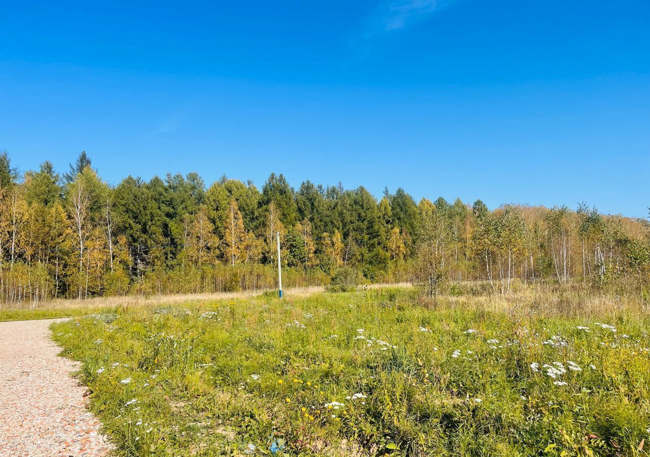 земля городской округ Дмитровский с Рогачево коттеджный пос. Зелёные Дали фото 12