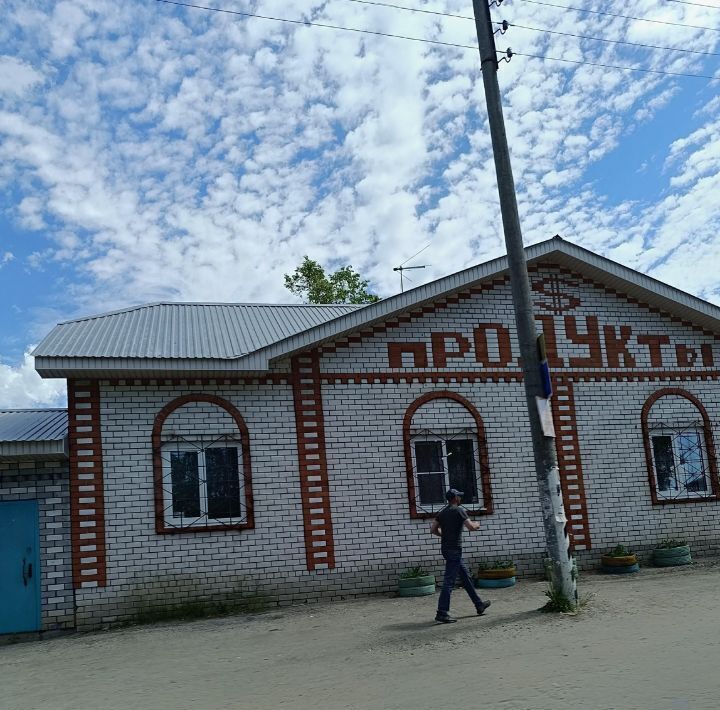 земля р-н Дальнеконстантиновский с Новое Жедрино ул Луговая фото 24