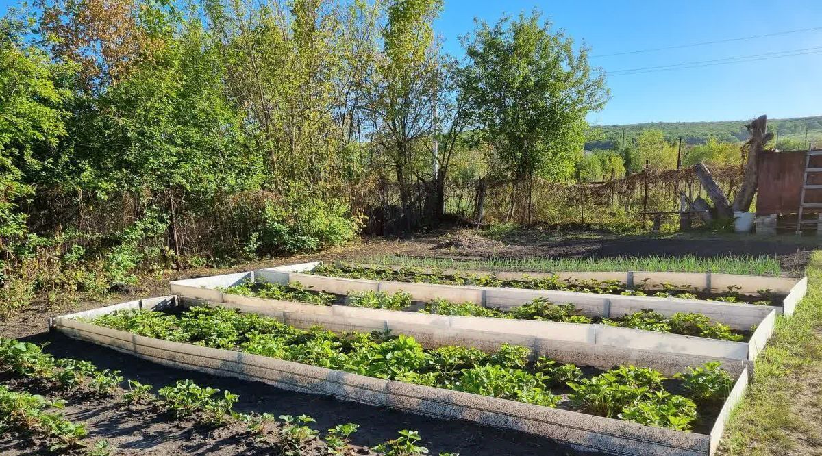 дом г Саратов р-н Ленинский пр-д Медвежий фото 15