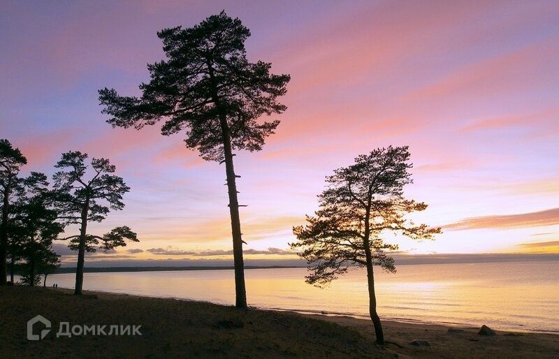 дом р-н Багратионовский посёлок Раздольное фото 3