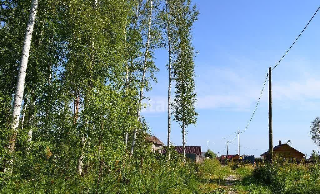 земля г Тюмень р-н Калининский снт Зауралец ул Энергетиков фото 3