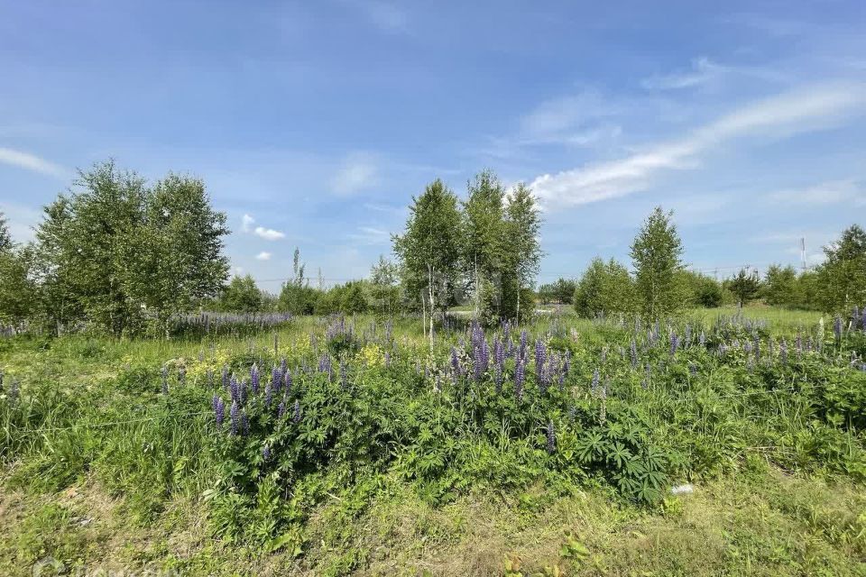 земля г Раменское ул Июльская Раменский городской округ фото 1