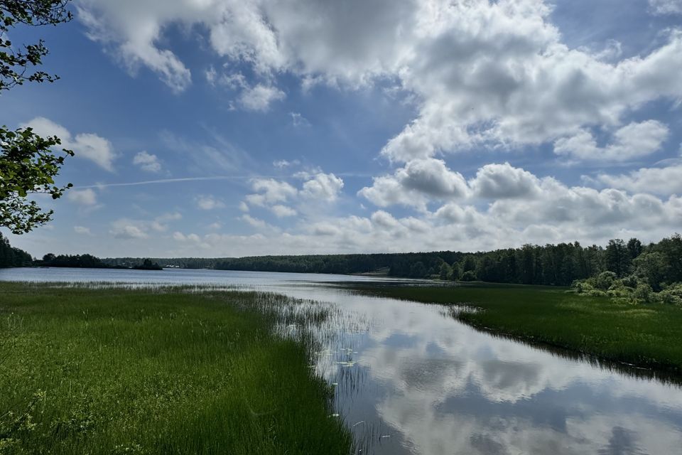 земля р-н Выборгский Приморское городское поселение фото 3