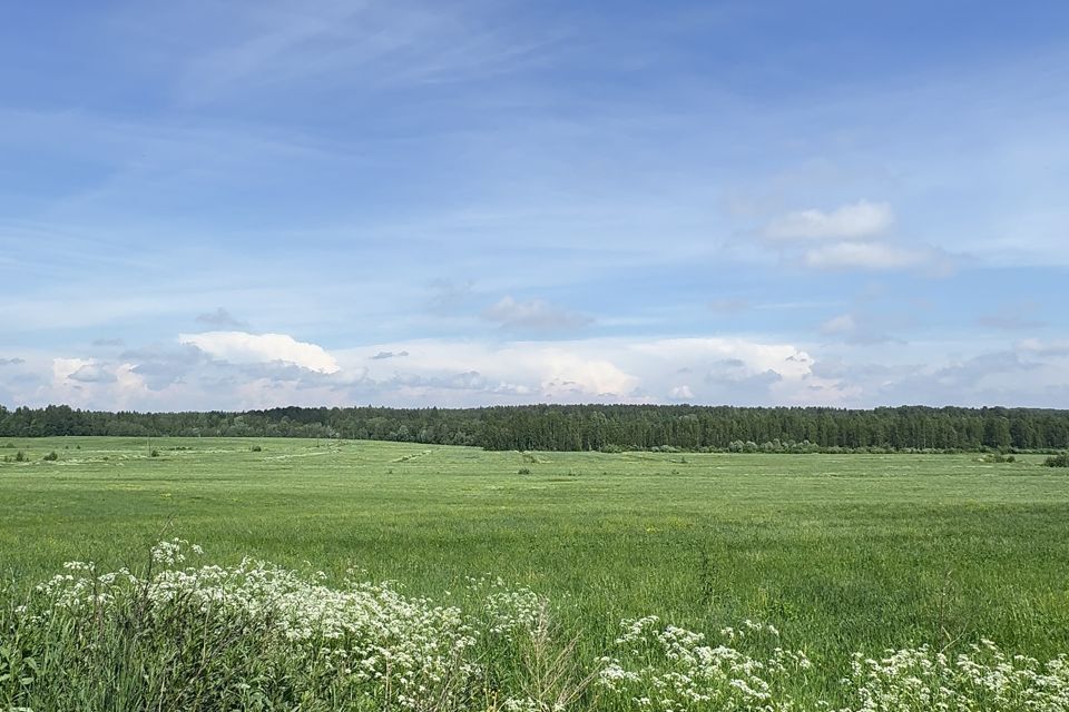 земля р-н Выборгский Приморское городское поселение фото 2