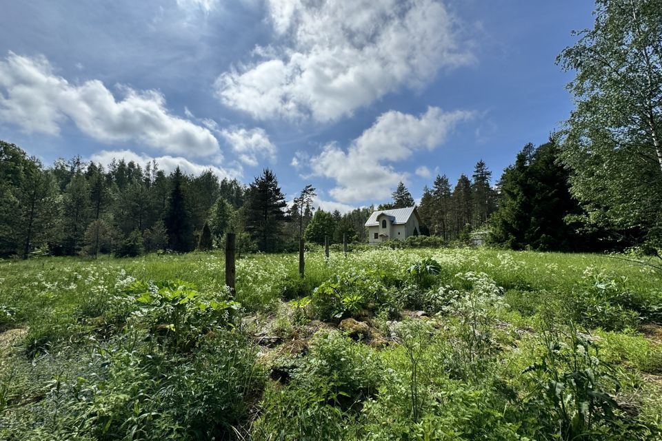 земля р-н Выборгский Приморское городское поселение фото 5