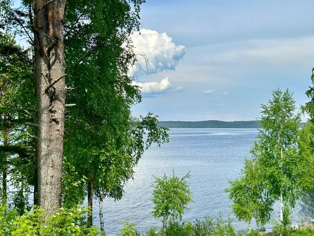 дом р-н Пряжинский п Эссойла ул Запрудная 12 Алекка фото 13