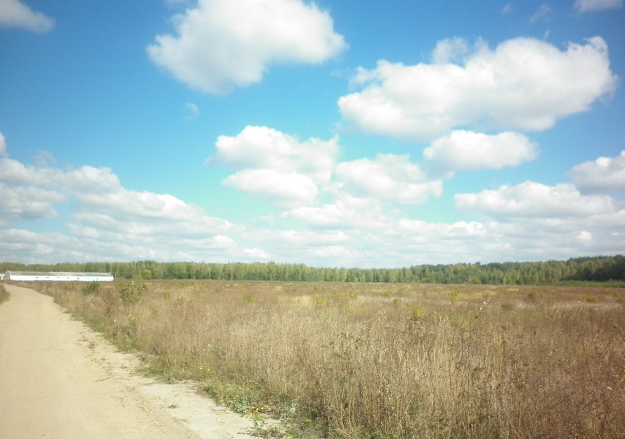 земля р-н Урицкий п Сеножатное Городищенское сельское поселение, Нарышкино фото 3