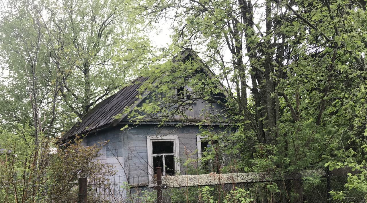 земля направление Ленинградское (северо-запад) ш Ленинградское городской округ Солнечногорск фото 3