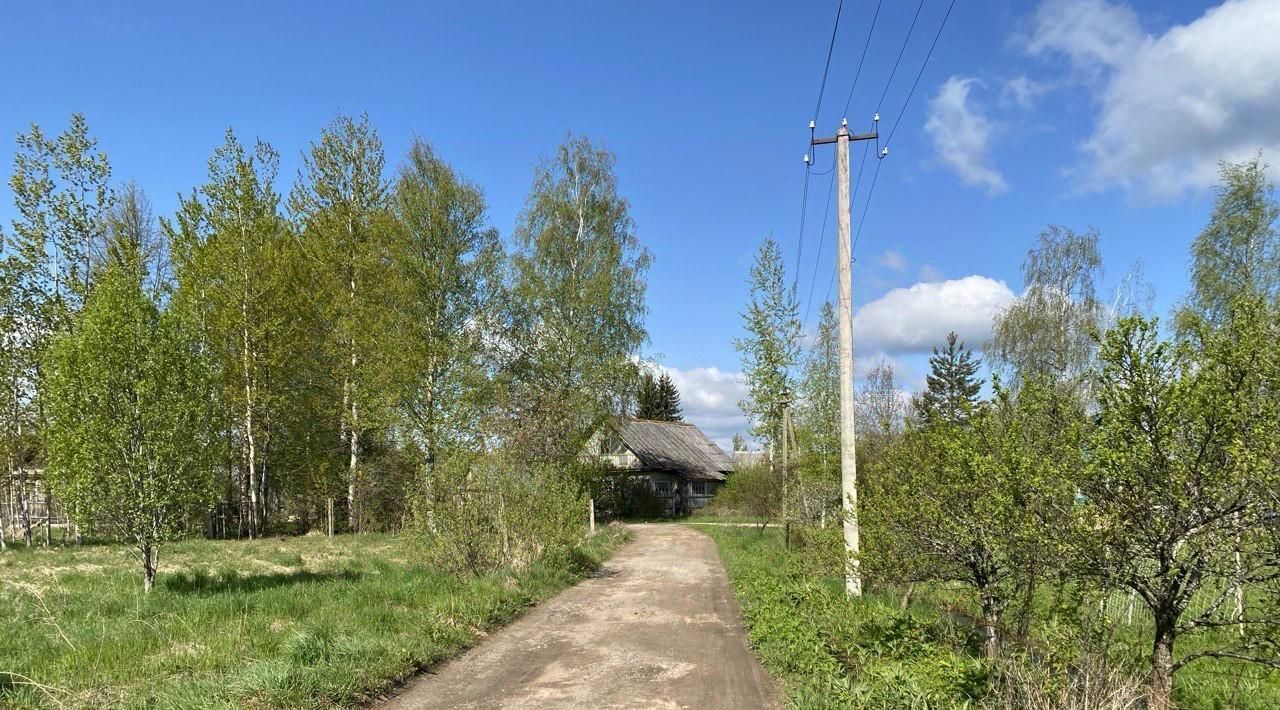 земля р-н Старорусский п Новосельский пер Партизанский 1 Новосельское с/пос фото 1