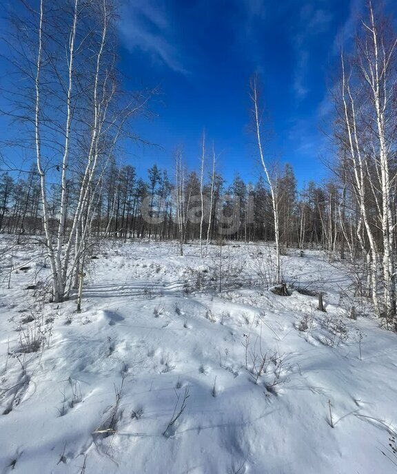 земля у Хангаласский улус, автозимник Тит-Эбя - Покровск фото 7