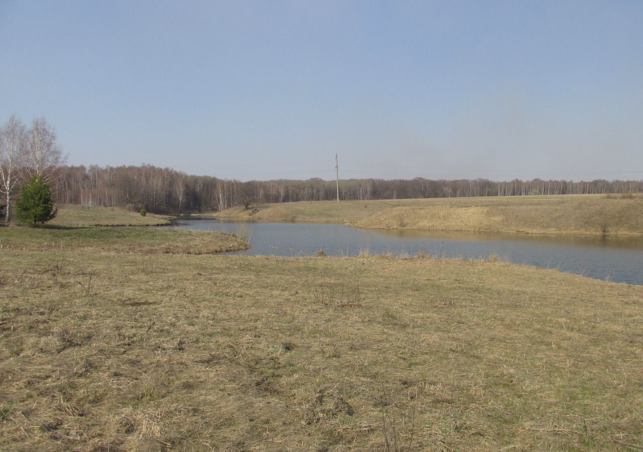 земля городской округ Зарайск д Ивашково Зарайск фото 1