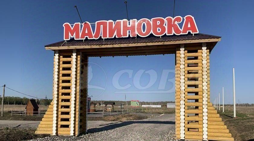 земля р-н Тюменский д Малиновка ул Возрождения фото 5