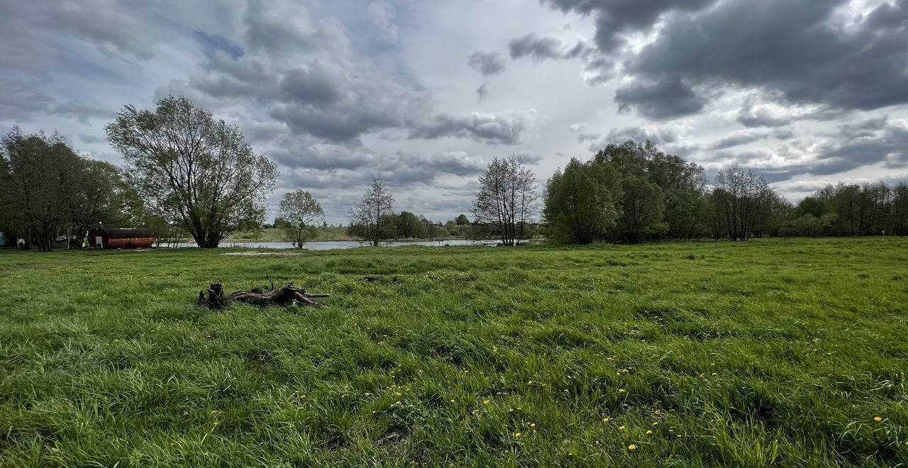 земля р-н Пронский рп Пронск ул Заречная Пронское городское поселение, Пронск фото 9