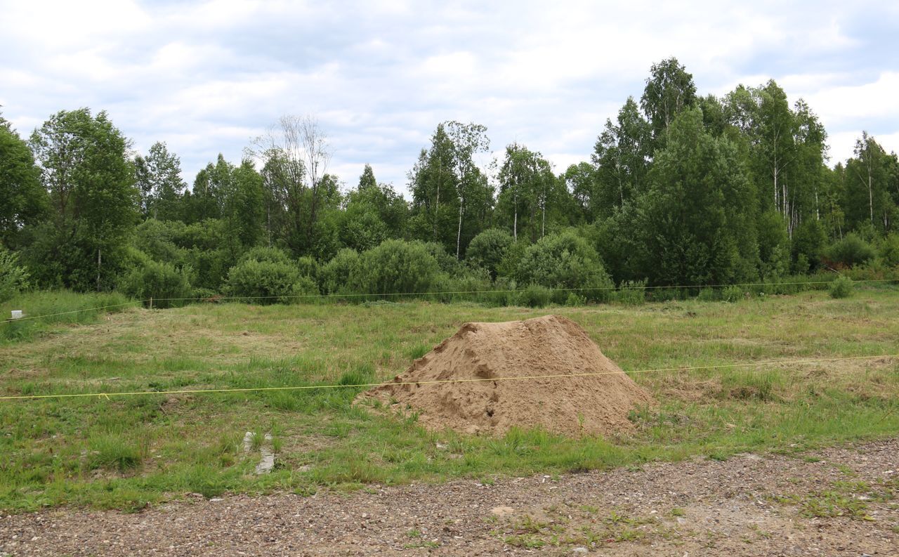 земля городской округ Егорьевск д Алфёрово снт Росток Белоомут фото 6