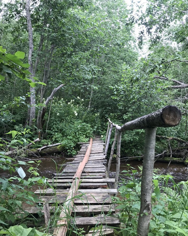 земля р-н Харовский с Погост Никольский Харовск фото 25