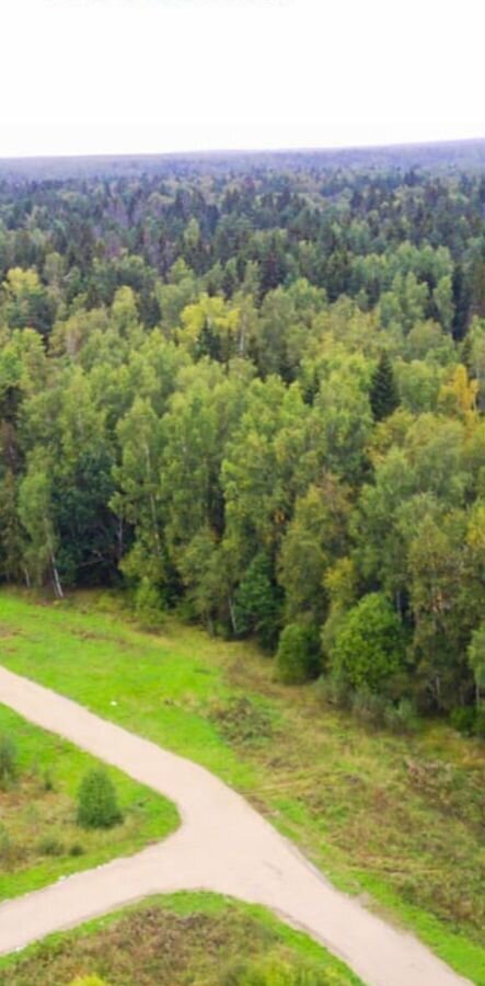 земля городской округ Дмитровский д Кузяево Некрасовский фото 37