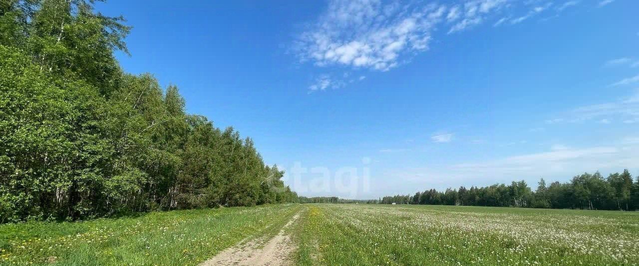 земля р-н Дальнеконстантиновский Бугров Парк 2 кп фото 4