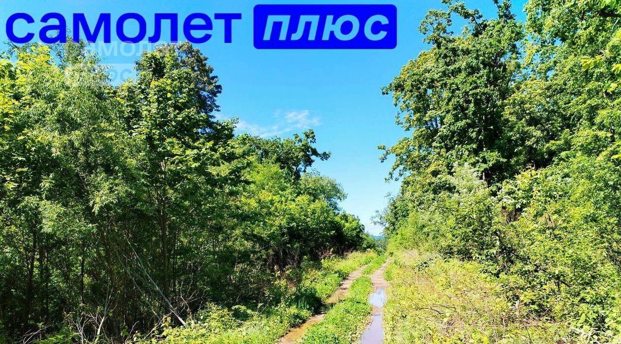 земля г Фокино ул Карла Маркса 9 фото 7