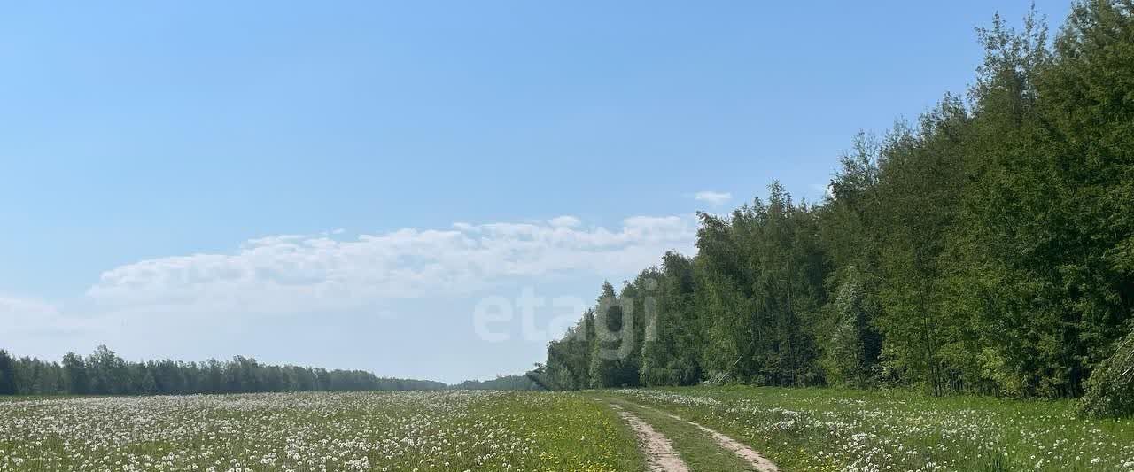 земля р-н Дальнеконстантиновский Бугров Парк 2 кп фото 5