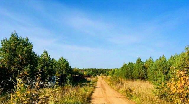 земля р-н Кирово-Чепецкий д Салтыки Сосновый берег кп, Пасеговское с пос фото 8