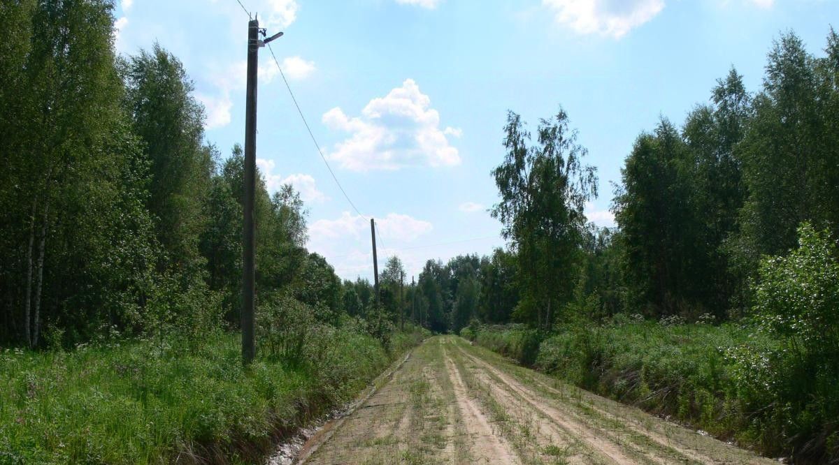 земля р-н Конаковский Усадьба в Завидово кп фото 4