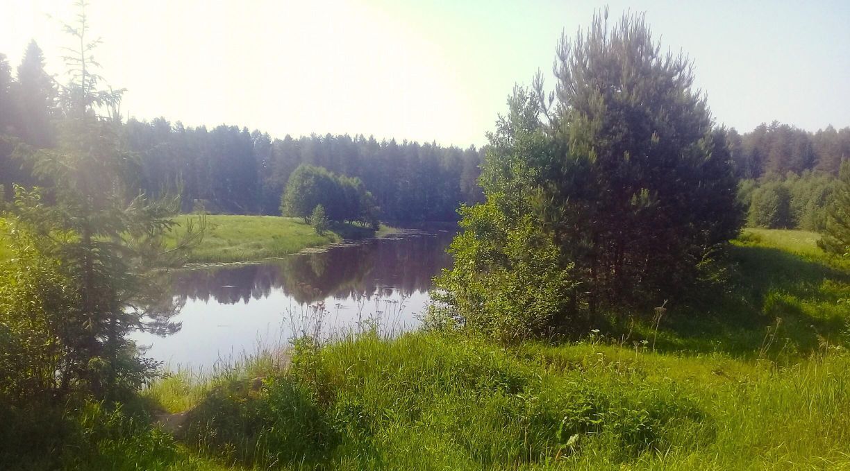 офис р-н Переславский д Лисавы Переславль-Залесский городской округ фото 4