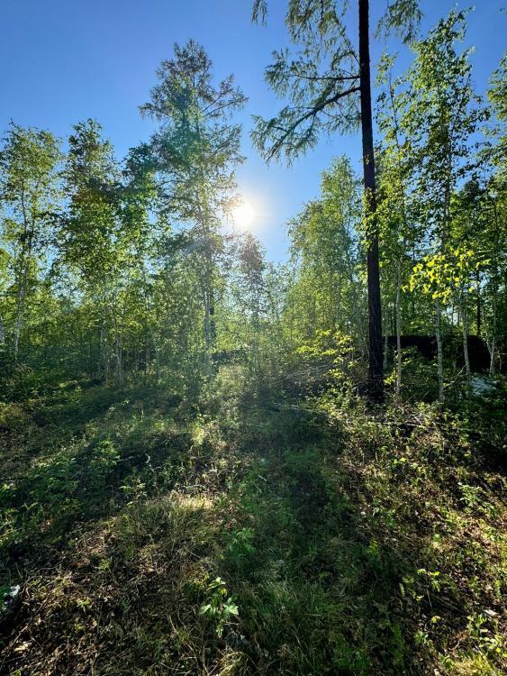 земля г Якутск тракт Вилюйский Республика Саха Якутия фото 5