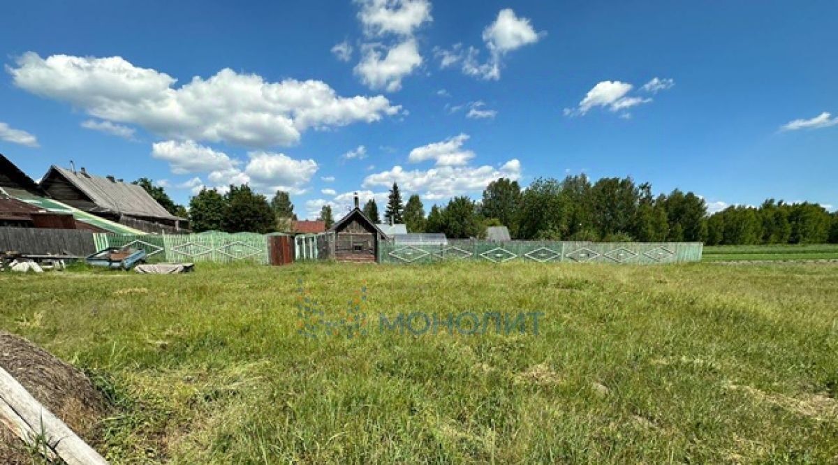 земля г Бор д. Ежово Останкинский сельсовет, 9 фото 3