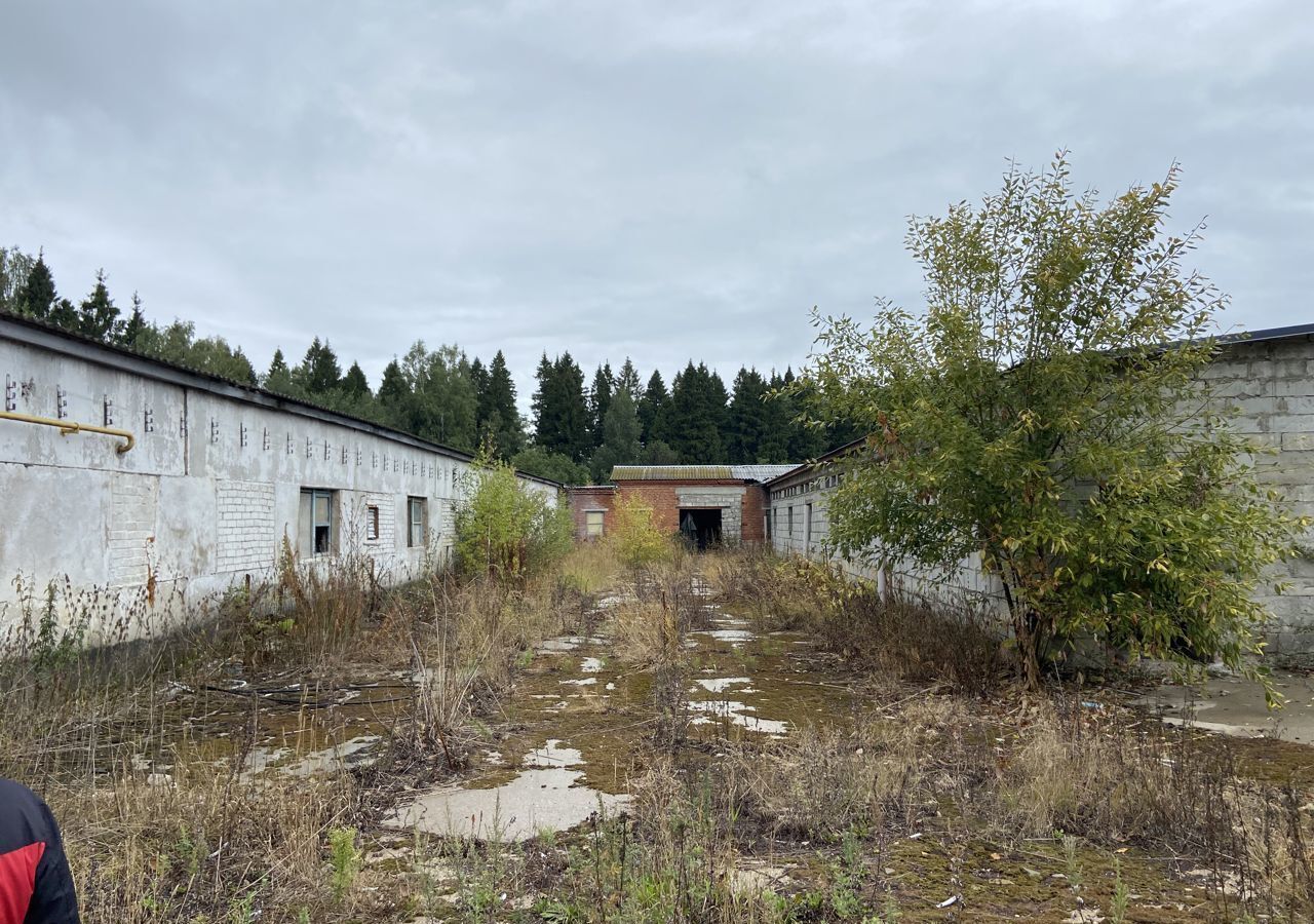 производственные, складские городской округ Дмитровский пос. совхоза Будённовец, ул. Галяткина, 9, Дмитров фото 4