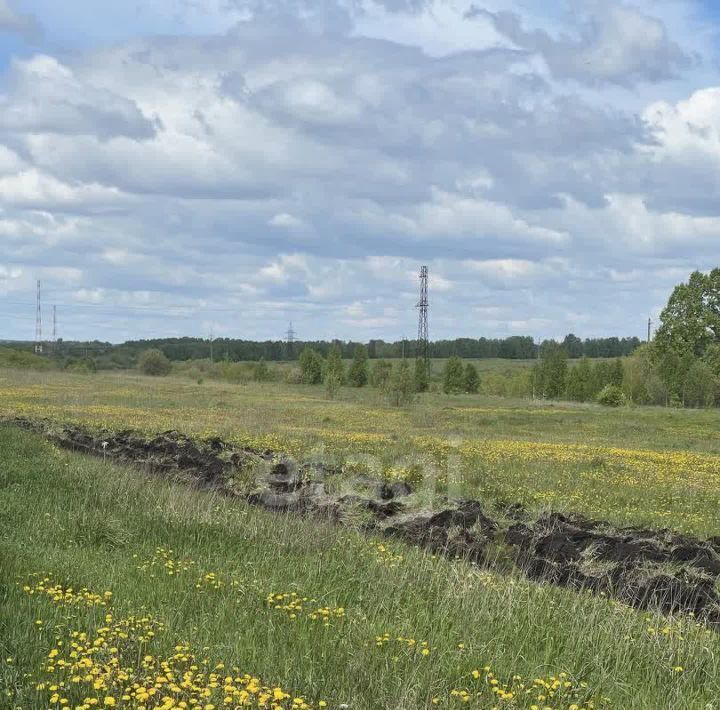 земля г Кемерово рп Боровой р-н Рудничный жилрайон фото 10