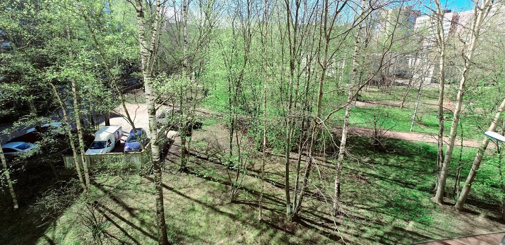 квартира г Санкт-Петербург метро Озерки пр-кт Луначарского 39к/1 фото 11