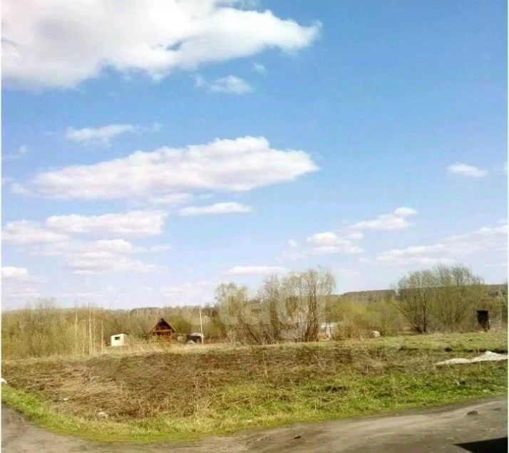 земля р-н Новосибирский снт Солнечное Плотниковский сельсовет фото 4