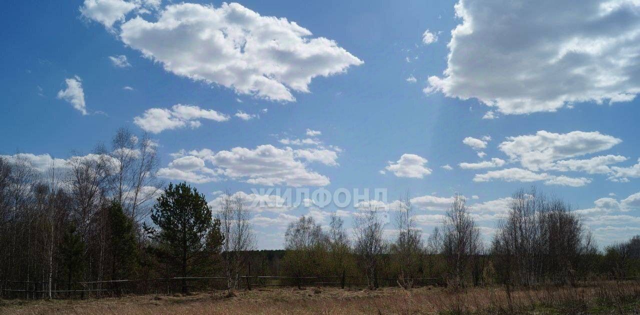 дом г Томск п Кузовлево ул Заречная р-н Октябрьский фото 9