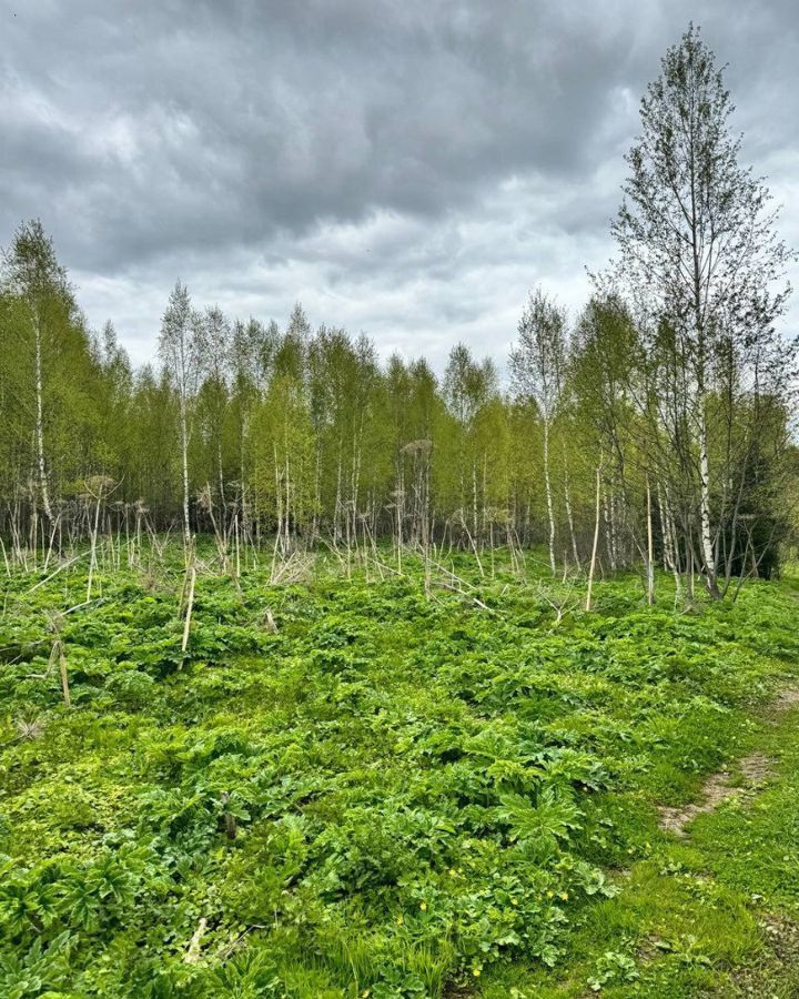 земля городской округ Дмитровский д Удино 31 км, Икша, Рогачёвское шоссе фото 10