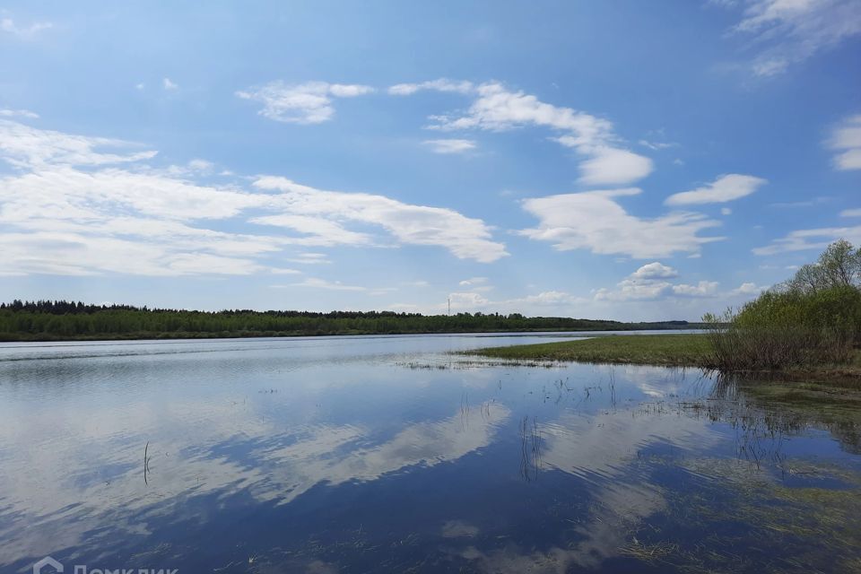 земля р-н Лужский деревня Заполье Каменская волость фото 2