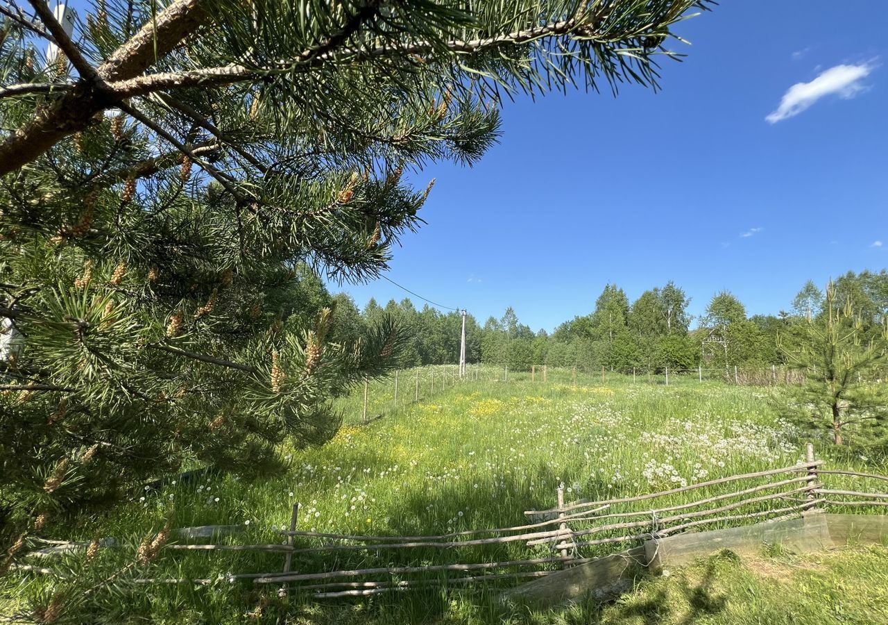 земля городской округ Сергиево-Посадский г Краснозаводск 17Н-94, Владимирская обл. фото 15