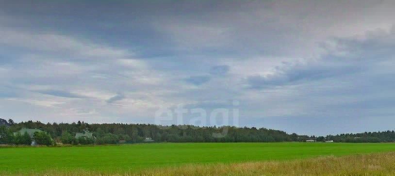 земля городской округ Красногорск с Дмитровское снт Зеленый ветер-1 СНТ, Павшино фото 2