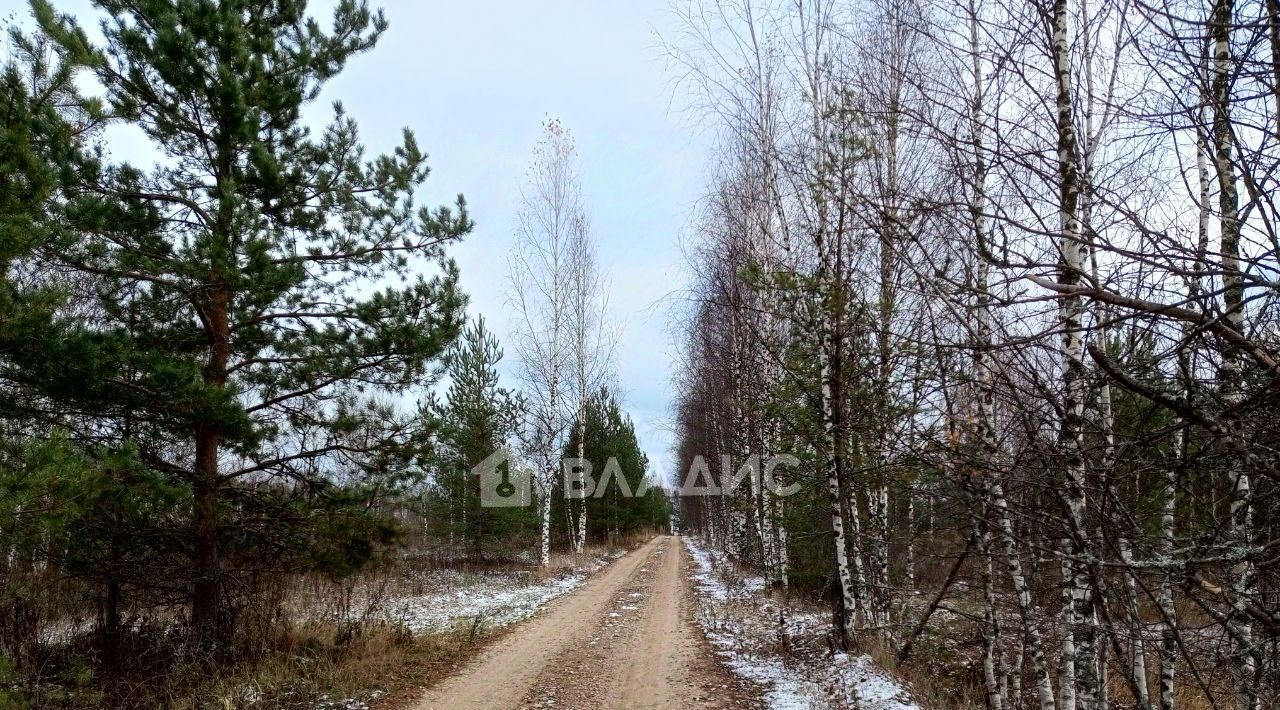 земля р-н Ивановский д Скалозубка с пос, 7, Богородское фото 12