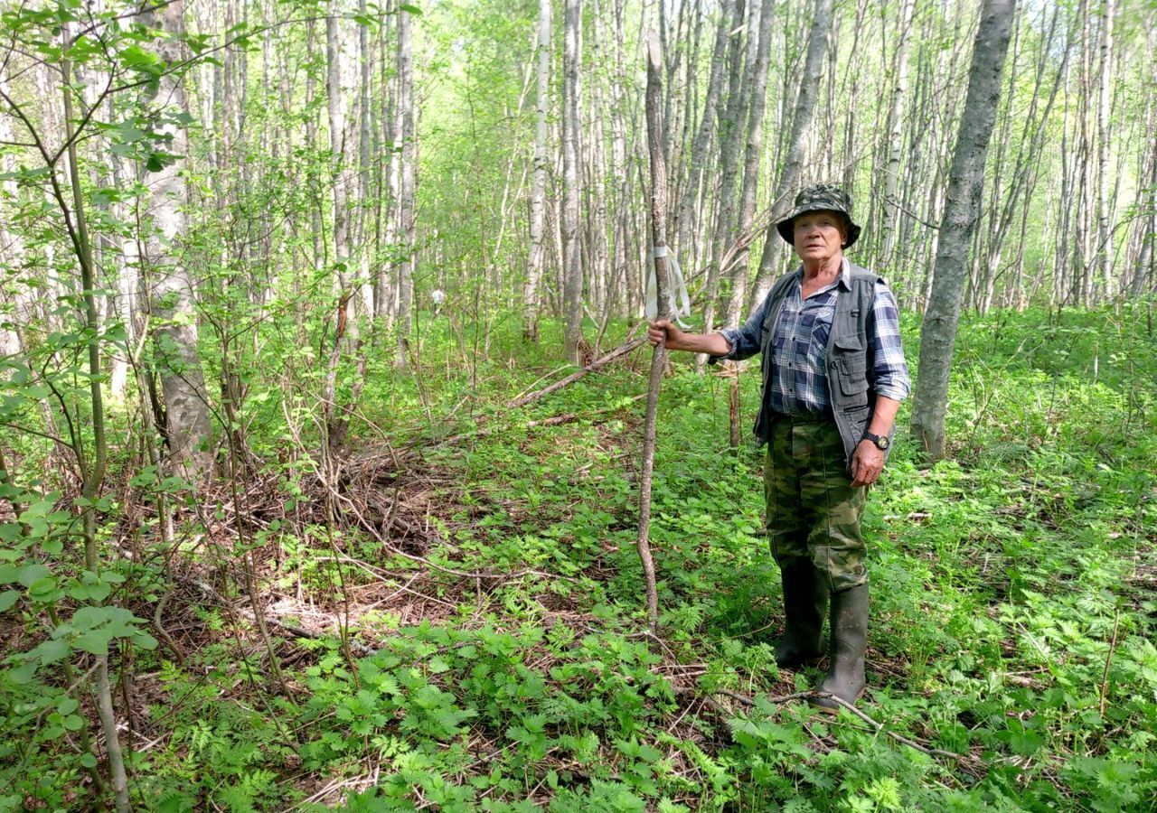 земля р-н Суоярвский г Суоярви Суоярвское городское поселение, урочище Ниеминсенкюля фото 11