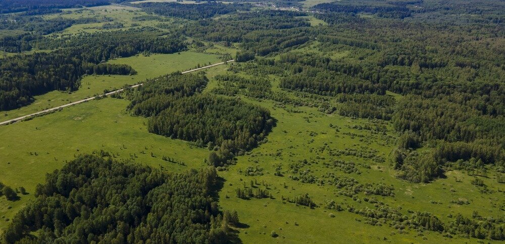 земля городской округ Можайский д Семейники 46 фото 15