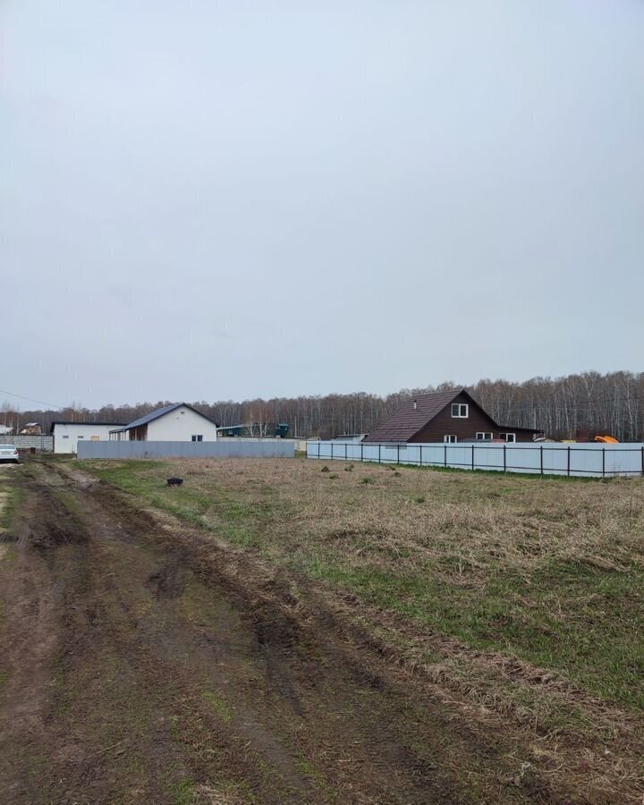 земля р-н Новосибирский снт Содружество сельсовет, Новосибирск, Мичуринский фото 1