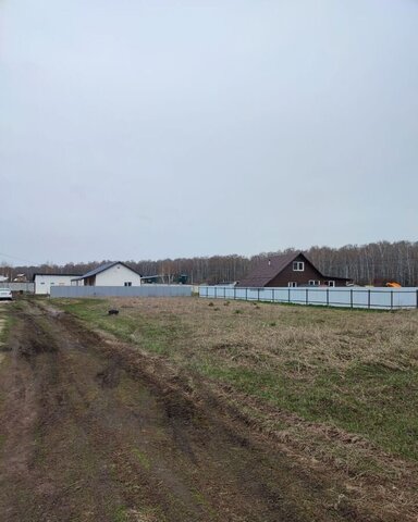 снт Содружество сельсовет, Новосибирск, Мичуринский фото